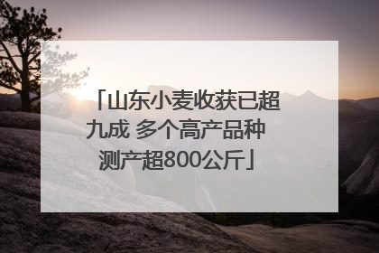 山东小麦收获已超九成 多个高产品种测产超800公斤