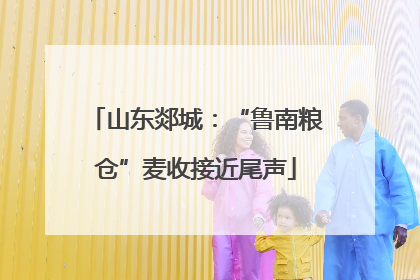 山东郯城：“鲁南粮仓”麦收接近尾声