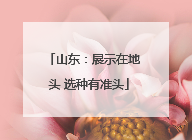 山东：展示在地头 选种有准头