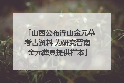 山西公布浮山金元墓考古资料 为研究晋南金元葬具提供样本