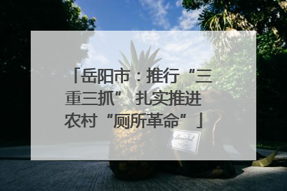 岳阳市：推行“三重三抓” 扎实推进农村“厕所革命”