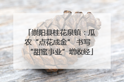 崇阳县桂花泉镇：瓜农“点花成金” 书写“甜蜜事业”增收经