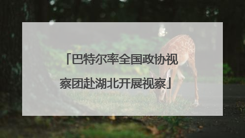 巴特尔率全国政协视察团赴湖北开展视察
