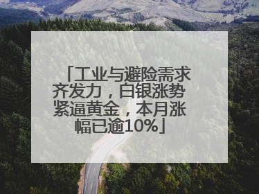 工业与避险需求齐发力，白银涨势紧逼黄金，本月涨幅已逾10%
