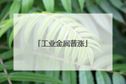 工业金属普涨