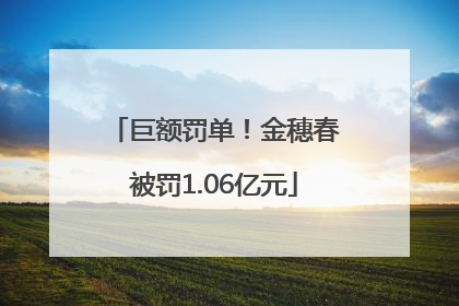 巨额罚单！金穗春被罚1.06亿元