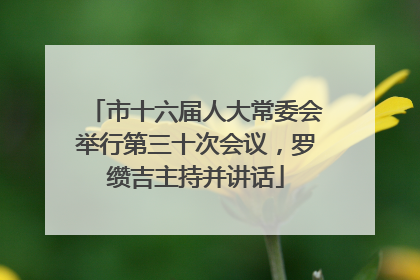 市十六届人大常委会举行第三十次会议，罗缵吉主持并讲话
