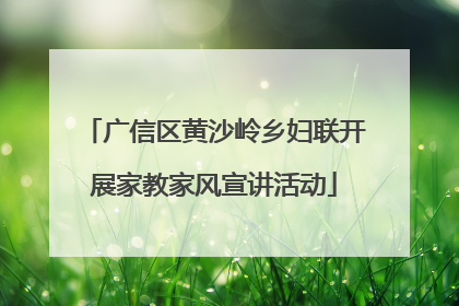 广信区黄沙岭乡妇联开展家教家风宣讲活动
