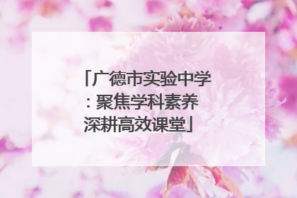 广德市实验中学：聚焦学科素养 深耕高效课堂
