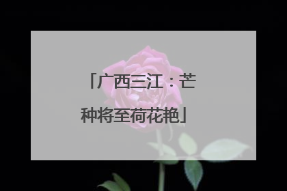 广西三江：芒种将至荷花艳