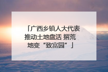 广西乡镇人大代表推动土地盘活 撂荒地变“致富园”