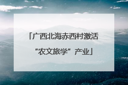广西北海赤西村激活“农文旅学”产业