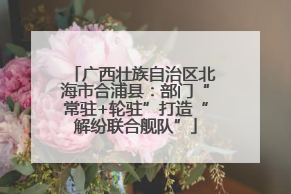 广西壮族自治区北海市合浦县：部门“常驻+轮驻”打造“解纷联合舰队”
