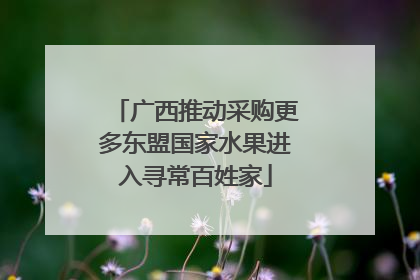 广西推动采购更多东盟国家水果进入寻常百姓家
