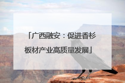 广西融安：促进香杉板材产业高质量发展