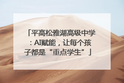 平高松雅湖高级中学：AI赋能，让每个孩子都是“重点学生”