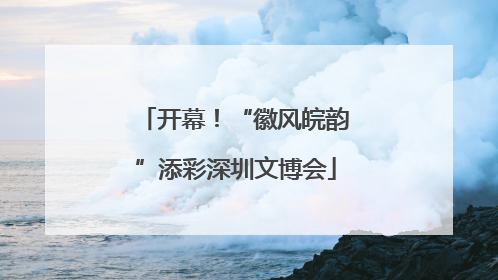 开幕！“徽风皖韵”添彩深圳文博会