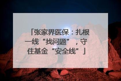 张家界医保：扎根一线“找问题”，守住基金“安全线”
