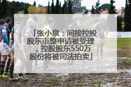张小泉：间接控股股东重整申请被受理，控股股东550万股份将被司法拍卖
