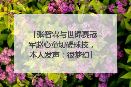 张智霖与世锦赛冠军赵心童切磋球技，本人发声：很梦幻