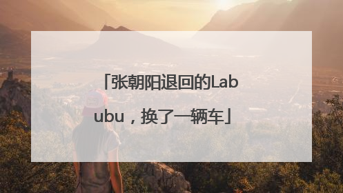 张朝阳退回的Labubu，换了一辆车