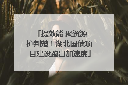 提效能 聚资源 护荆楚！湖北国债项目建设跑出加速度
