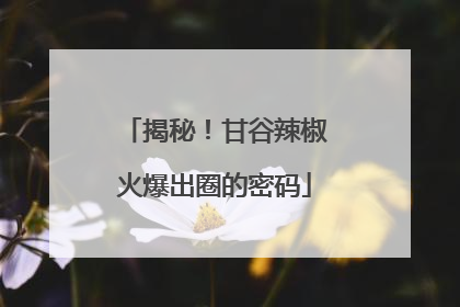 揭秘！甘谷辣椒火爆出圈的密码