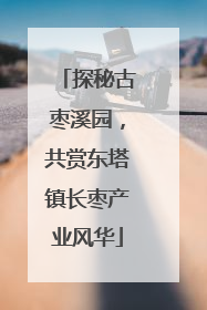 探秘古枣溪园，共赏东塔镇长枣产业风华