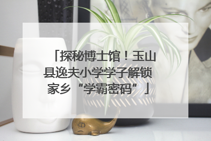探秘博士馆！玉山县逸夫小学学子解锁家乡“学霸密码”