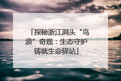 探秘浙江洞头“鸟浪”奇观：生态守护铸就生命驿站