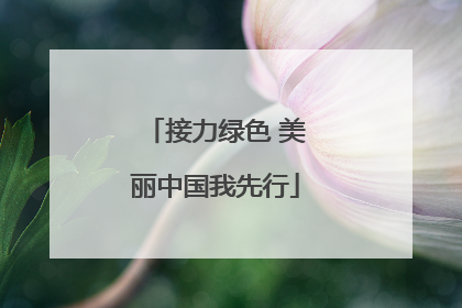 接力绿色 美丽中国我先行