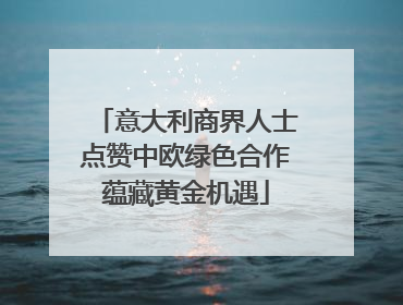 意大利商界人士点赞中欧绿色合作蕴藏黄金机遇