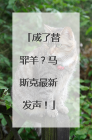 成了替罪羊？马斯克最新发声！