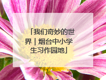 我们奇妙的世界｜烟台中小学生习作园地