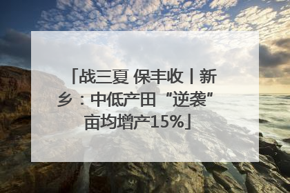 战三夏 保丰收丨新乡：中低产田“逆袭” 亩均增产15%