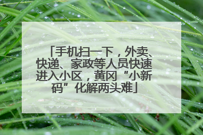 手机扫一下，外卖、快递、家政等人员快速进入小区，黄冈“小新码”化解两头难