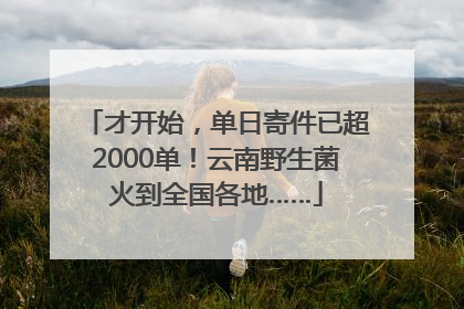 才开始，单日寄件已超2000单！云南野生菌火到全国各地……