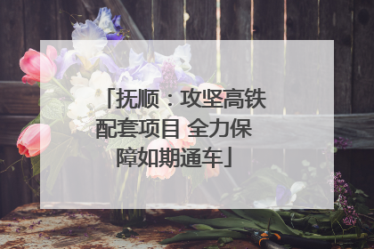 抚顺：攻坚高铁配套项目 全力保障如期通车