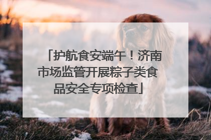 护航食安端午！济南市场监管开展粽子类食品安全专项检查
