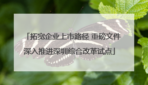 拓宽企业上市路径 重磅文件深入推进深圳综合改革试点