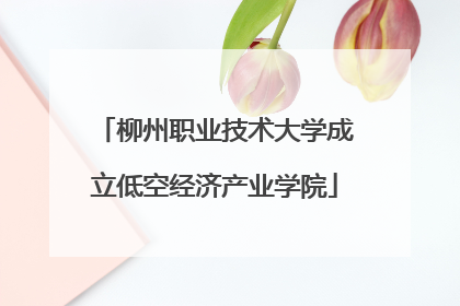 柳州职业技术大学成立低空经济产业学院