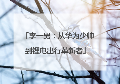 李一男：从华为少帅到锂电出行革新者