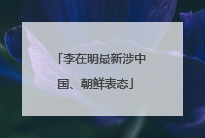 李在明最新涉中国、朝鲜表态
