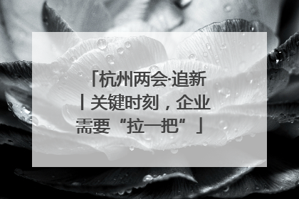 杭州两会·追新丨关键时刻，企业需要“拉一把”