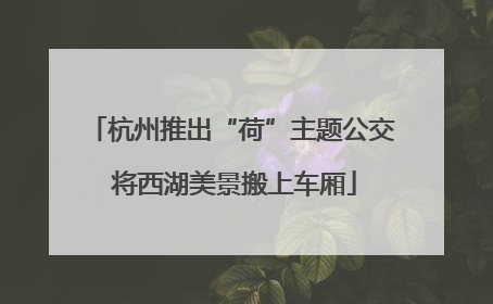 杭州推出“荷”主题公交 将西湖美景搬上车厢