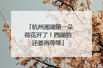 杭州湘湖第一朵荷花开了！西湖的还要再等等