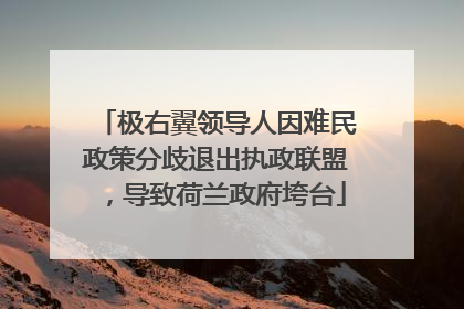 极右翼领导人因难民政策分歧退出执政联盟，导致荷兰政府垮台