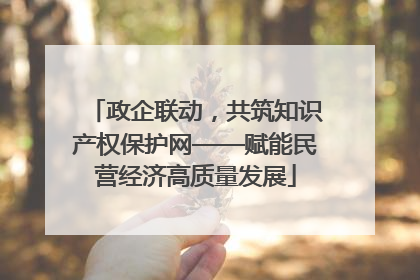 政企联动，共筑知识产权保护网——赋能民营经济高质量发展
