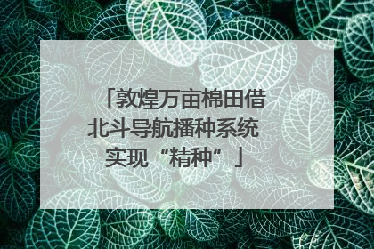 敦煌万亩棉田借北斗导航播种系统实现“精种”
