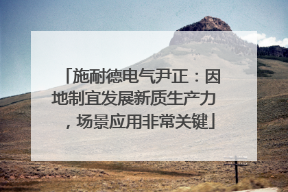 施耐德电气尹正：因地制宜发展新质生产力，场景应用非常关键